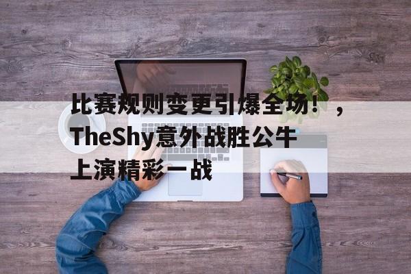  theshy2017年打了几场比赛 -开云官网